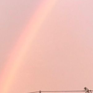 Meet your Posher, Alyca